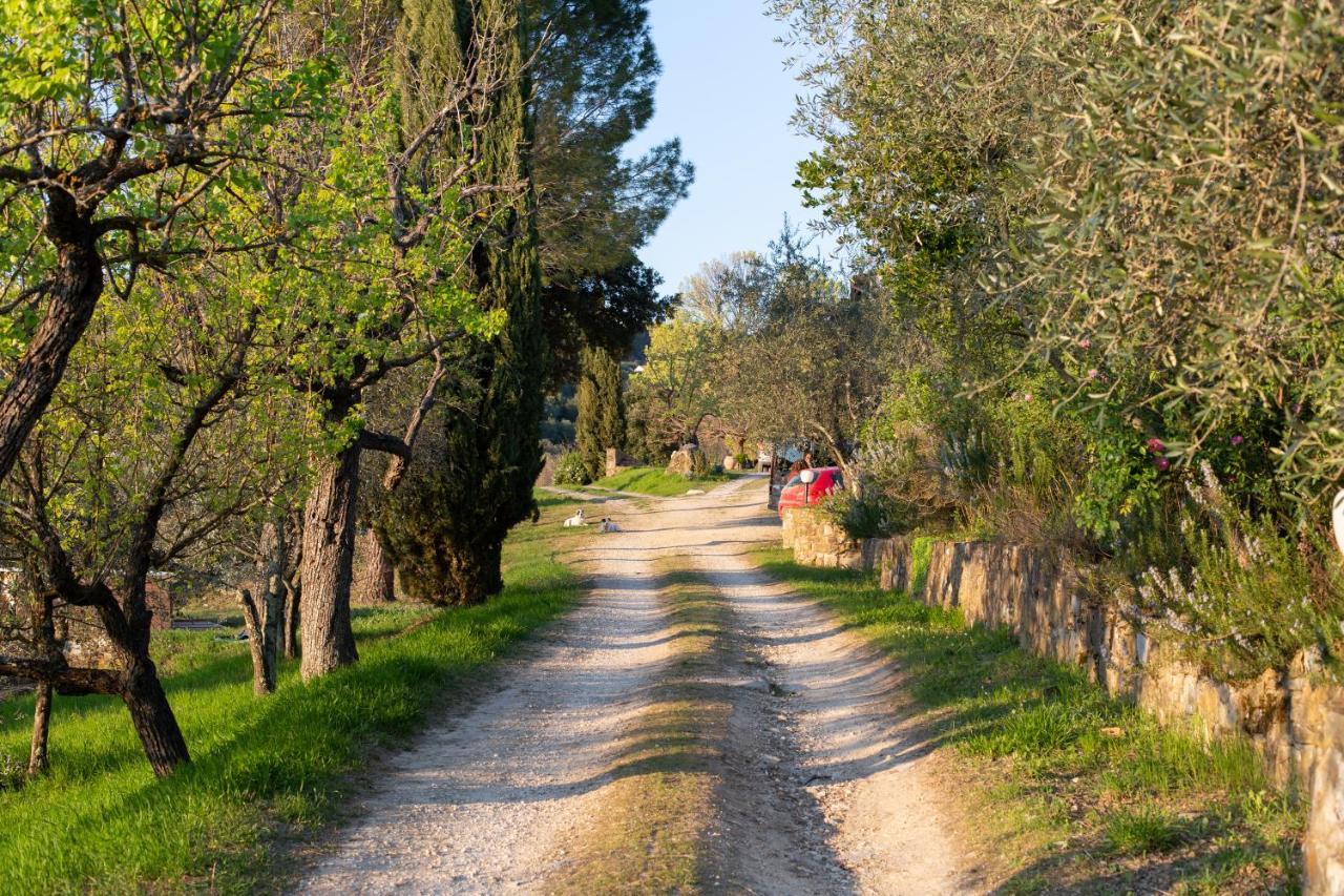 B&B Locanda Degli Aromi San Jacopo al Girone Ngoại thất bức ảnh